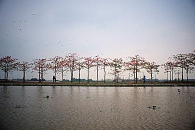 兔女郎银河恶魔城新作《TEVI》上市宣传片